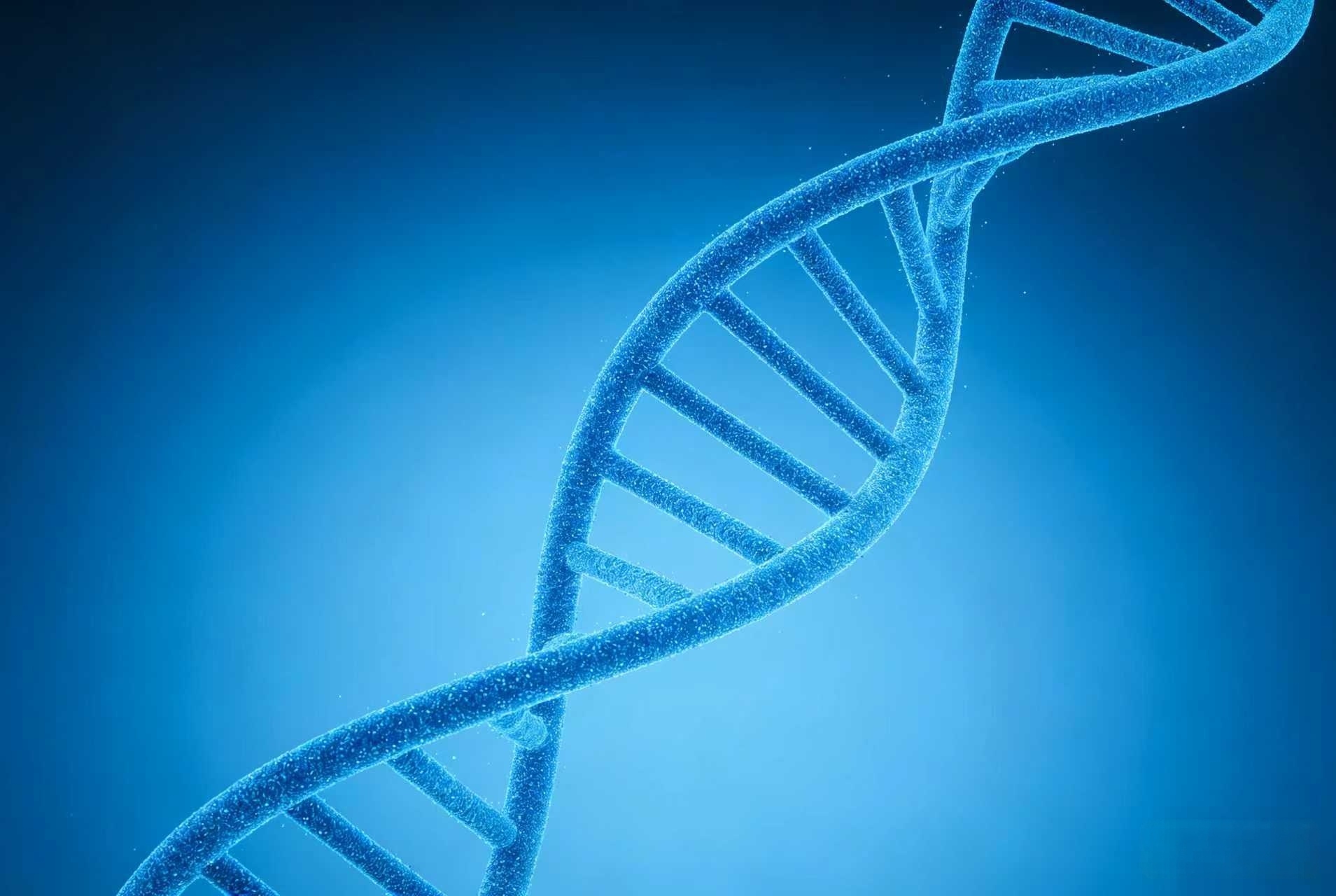 微信图片_20260407180830_106_254